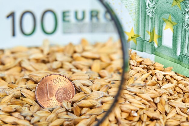 Closeup of one cent euro coin in barley grains on the background of one hundred euro bill