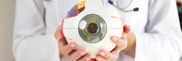 Крупный план врача-офтальмолога, держащего часть модели глаза, анатомическая структура глаза, глаз и