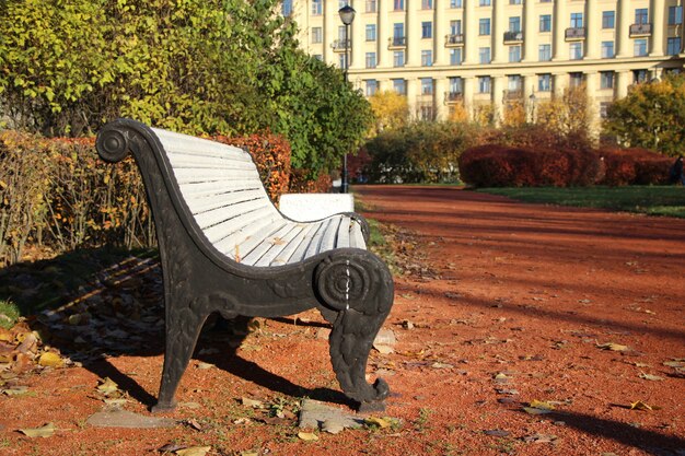 closeup of park wooden bench of white color with black cast iron sides in the autumn park