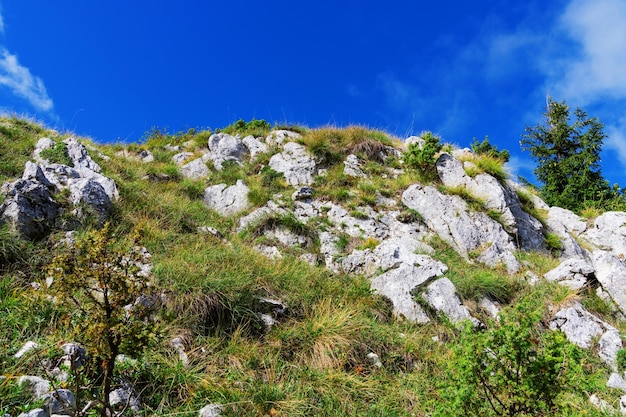 Closeup of a part of the mountain on which green grass grows against the blue sky in summer