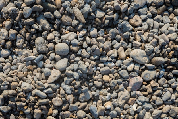 Closeup of pebbly ground