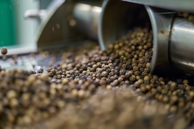 Closeup on pepper grains coming out of a mill