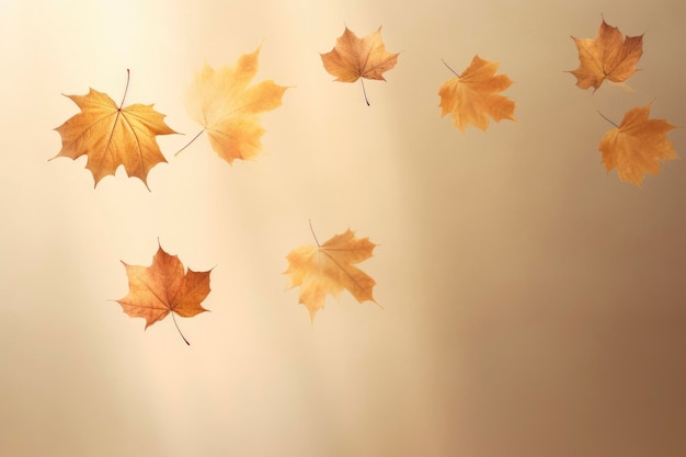 closeup photo of amazing dropping gold maple leaves in beige background