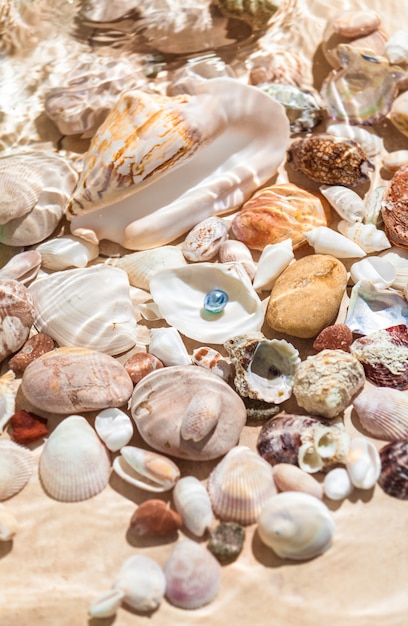 Closeup photo of black pearl lying underwater on seashell