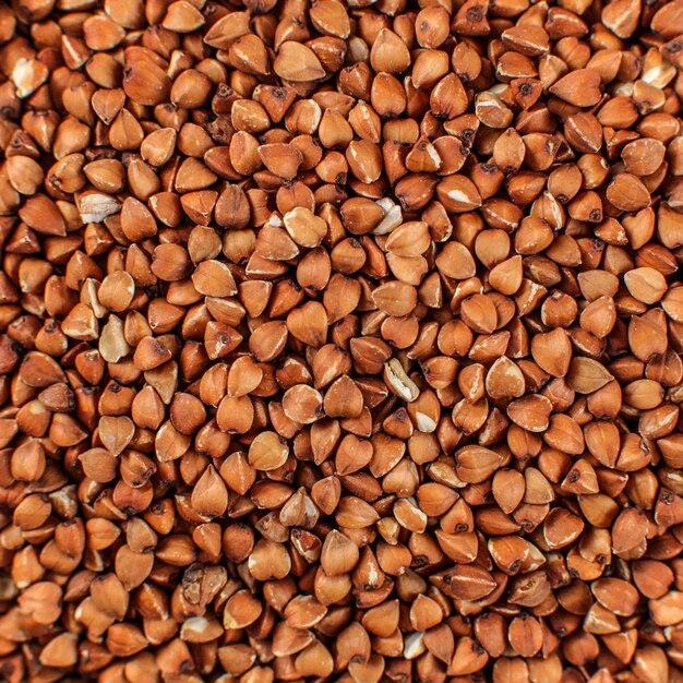 Closeup photo of buckwheat shot from above.