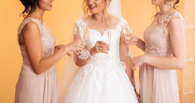 Closeup photo of cheerful girls celebrating a bachelorette party