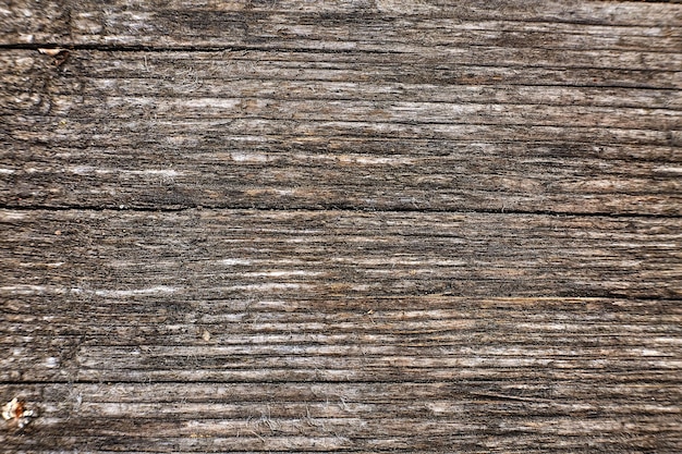 Closeup photo of old gray wooden wall texture background