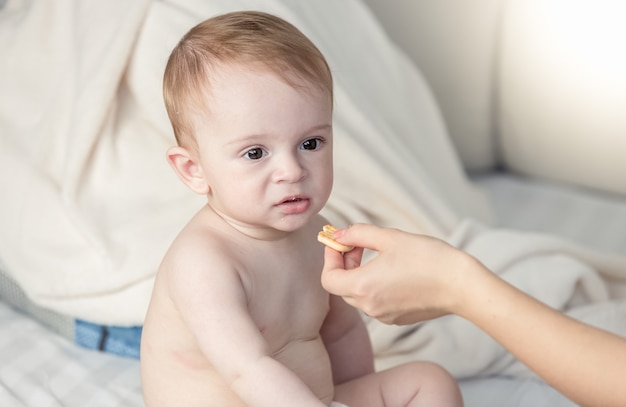 Closeup photo of parent giving biscuit for babies to 9 months old son at bedroom