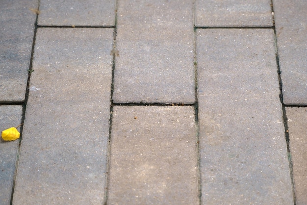 Photo closeup photo of a tile walkway pavement in autumn park