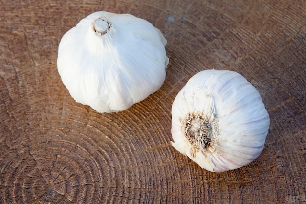 Closeup photo of two large garlic