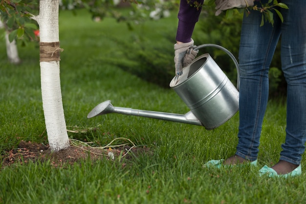 Foto foto del primo piano della donna che tiene l'annaffiatoio di metallo nel giardino vicino all'albero