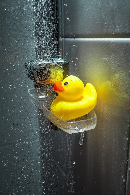 Closeup photo of yellow rubber duck under douche