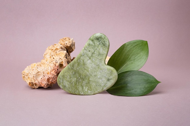 Closeup photography of guasha with glossy leafs and natural stone near it