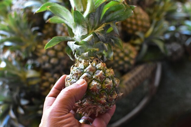 Closeup photography of hands holding fruit