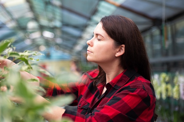 Closeup photography of woman in greenhousecheking ficus leafs in the pot