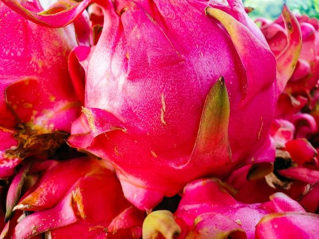 closeup of a pile of dragon fruit