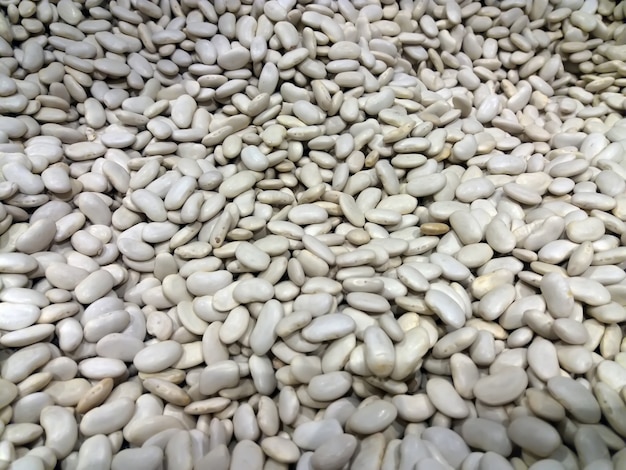 closeup of a pile of dry white beans