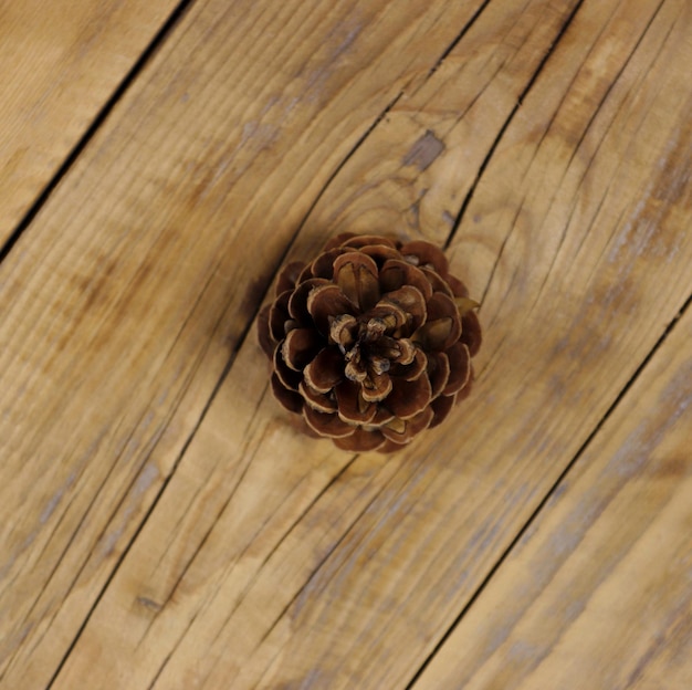 Closeup of a pine cone on a wooden board