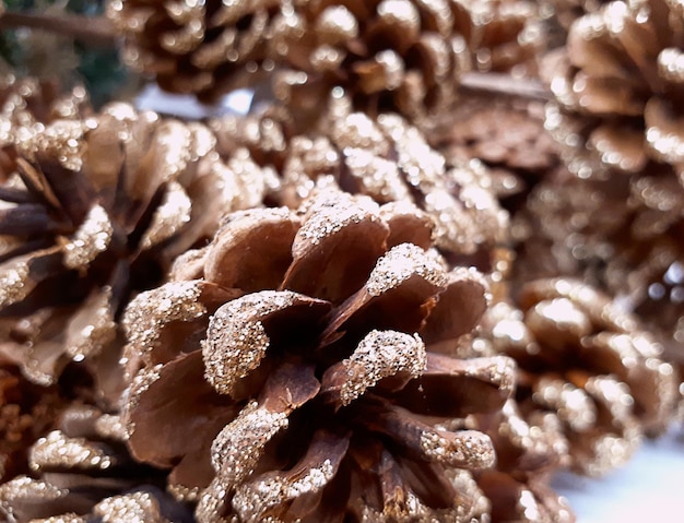 Photo closeup of a pine cones with golden frost decorations