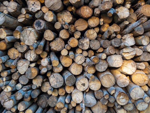 Photo closeup of pine firewood