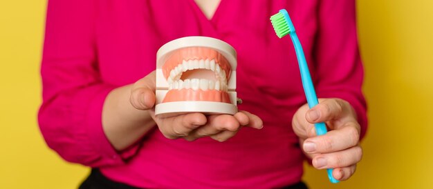 Photo closeup of a plastic jaw and a toothbrush in a womans hands on a yellow isolated background panoramic image