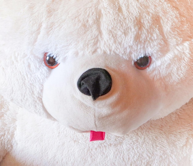 Крупный план плюшевого белого медведя, нос, глаза, рот, милая игрушка