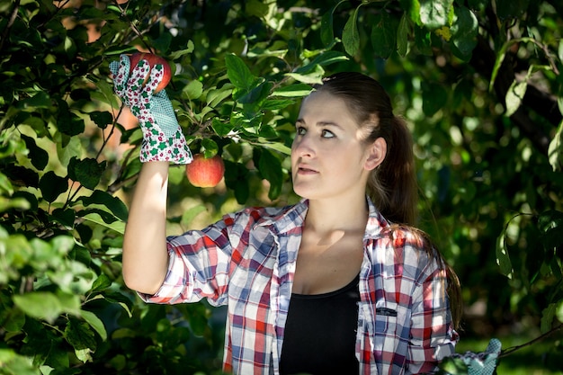 Foto ritratto del primo piano della giovane donna che raccoglie le mele al giardino