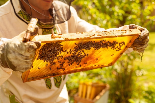 Closeup portret van imker met een honingraat vol bijen Imker in beschermende werkkleding ins