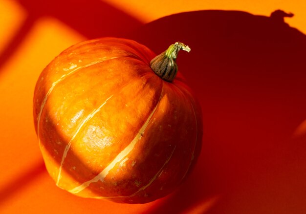 closeup of a pumpkin and its shadow on an orange background in sunlight