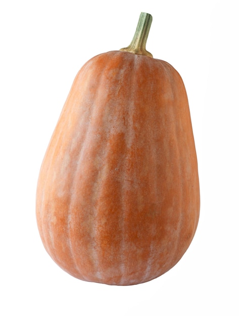 Closeup of a pumpkin on a white background