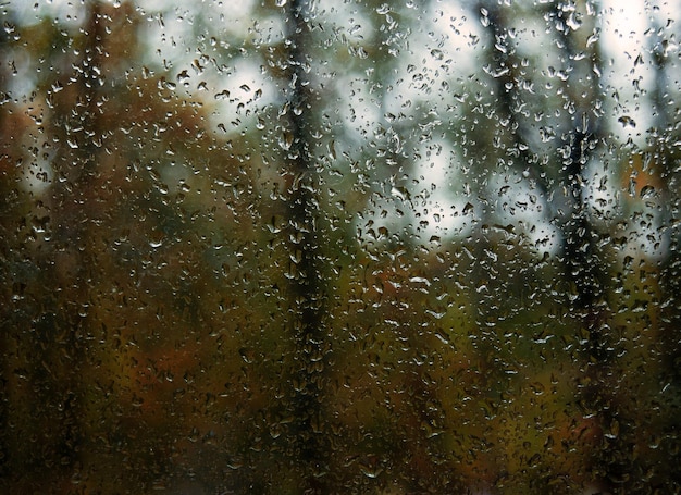 Photo closeup of raindrops running down the window autumn autumn background copy space