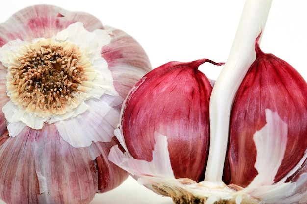 Closeup of raw garlic bulb