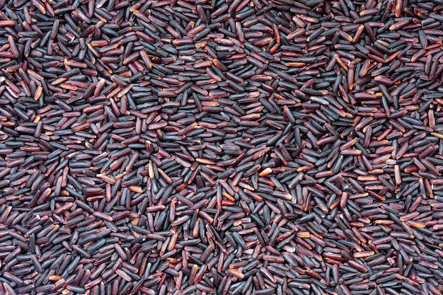 Closeup of raw purple Riceberry rice