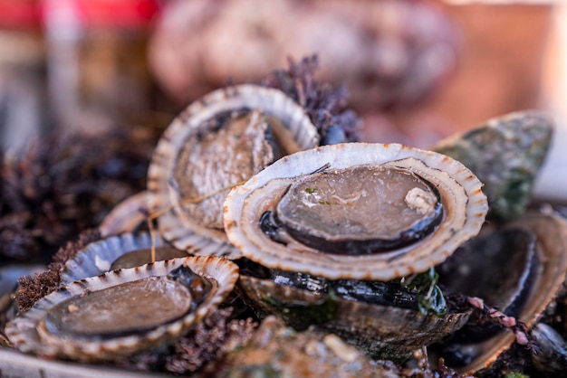 Primo piano di frutti di mare crudi, molluschi con conchiglie e ricci di mare viola freschi in vendita al mercato del pesce o al bazar