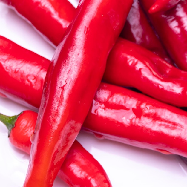 Closeup red chili pepper macro photo of pepper