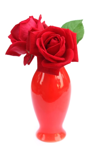 白い背景の上の花瓶に赤いバラのクローズアップ