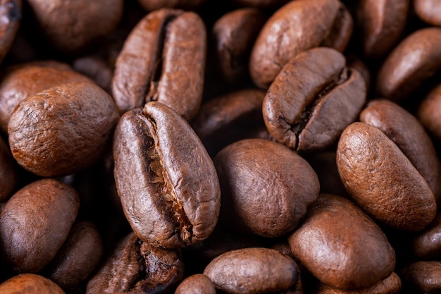 Closeup of roasted coffee beans as background Selective focus