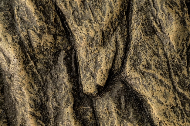 Closeup rock background texture nature