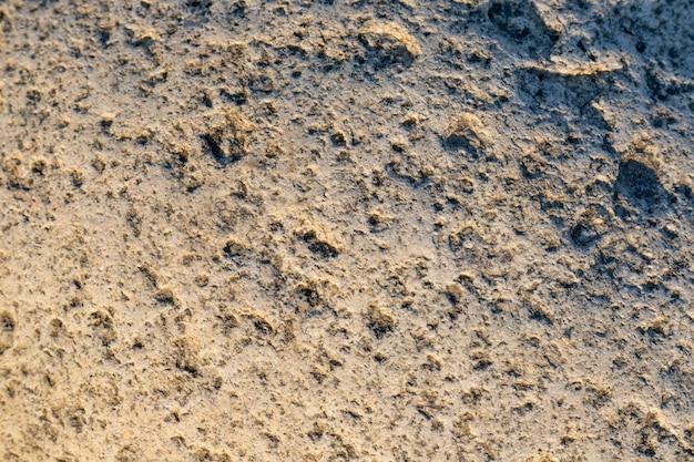 Closeup of a rock texture for background