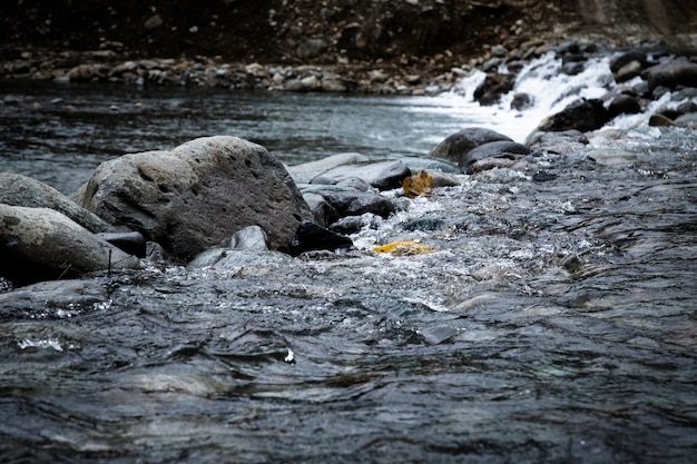 Фото Крупным планом скалы в воде пейзаж