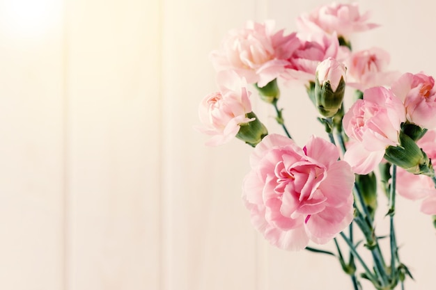 Closeup roze anjer bloemen bloeien ondiepe scherptediepte