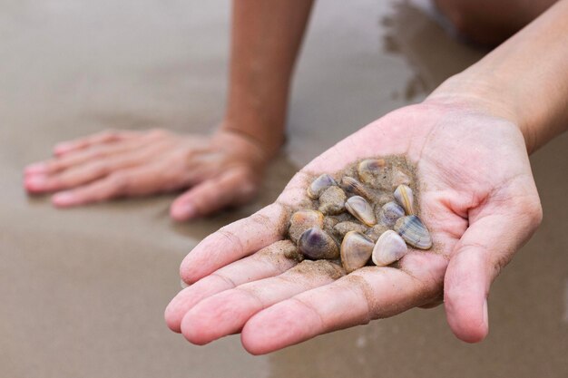 해변 방문자 의 손 에 있는 모래 와 작은  ⁇ 데기 들 의 클로즈업