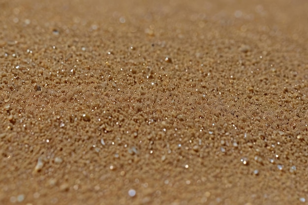 Photo closeup of sandy beach texture