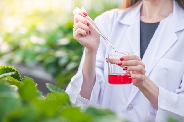 Closeup scientist discover liquid chemical formula extract from plant work in organic argriculture fram