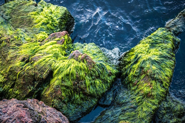 Closeup of sea shore