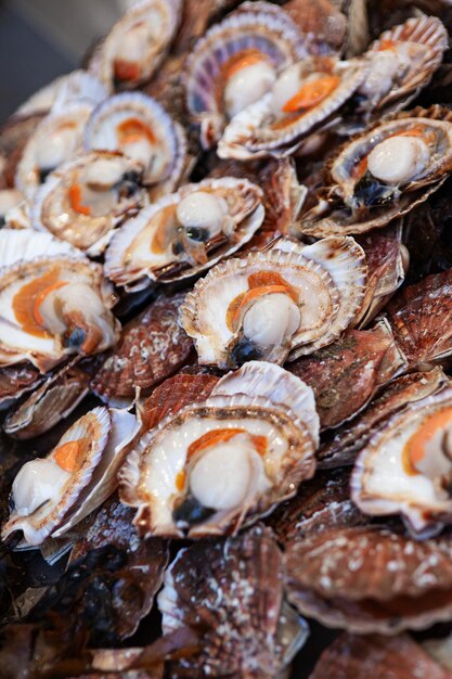 Closeup of seafood in a fish market