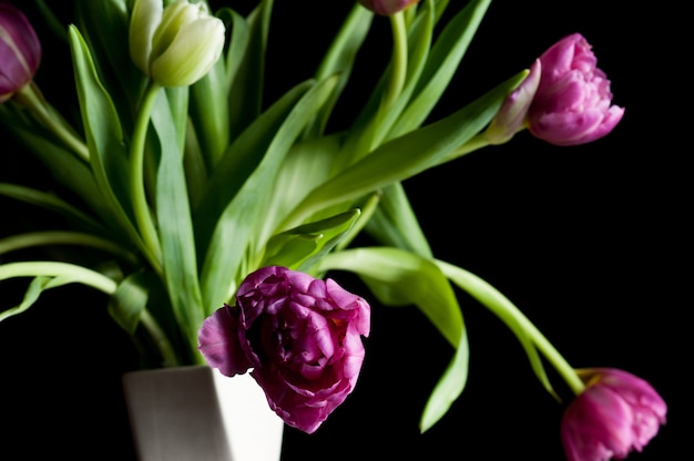 Closeup selective focus flowers in vase art low key