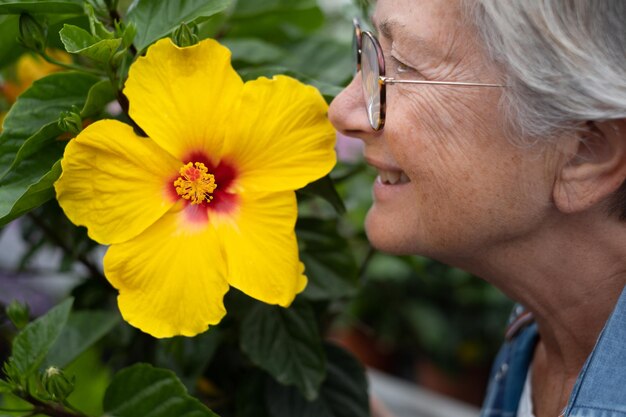 黄色いハイビスカスの花の匂いを嗅ぐ年配の白人女性のクローズアップ年配の女性自然愛好家