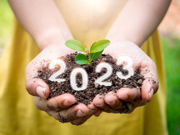 Primo piano del calendario dei numeri dell'anno 2023 brillante su terreno organico nelle mani mentre si tiene in mano una giovane pianta di germogli verdi felice anno nuovo 2023 e iniziare una nuova vita per il concetto di stile ecologico di crescita sostenibile