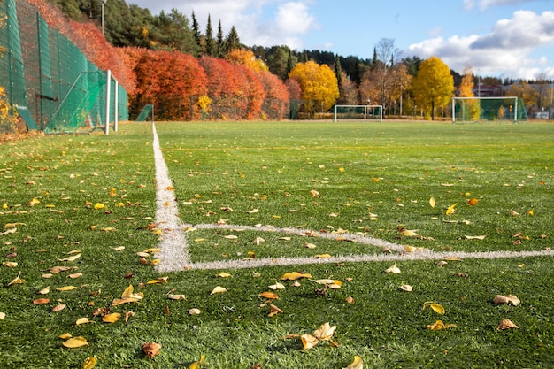 Крупный план осенних листьев на футбольном поле